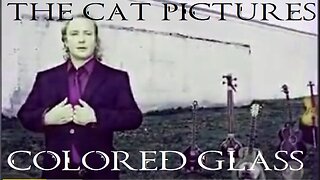 The Cat Pictures (feat. Sean Harper) - Colored Glass