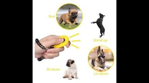 Guard Dog Training Step by Step!