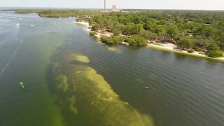 Do you love to see a pair of Dolphins Cruising the Anclote River?