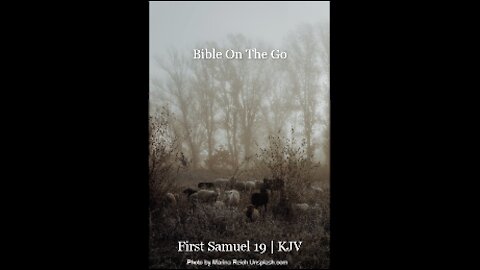 1 SAMUEL 19 | KJV