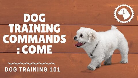 Basic Dog Training Commands: Come | DOG TRAINING 🐶 #BrooklynsCorner