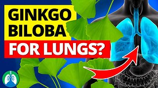 Can Ginkgo Biloba Improve Lung Function ❓