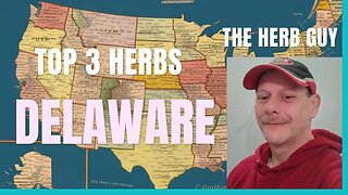 Delaware Herbal Medicine Across America Top 3 Herbs from Each State #nature #breakingnews #remedy