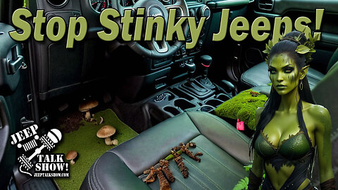 Stop Skinky Jeeps!