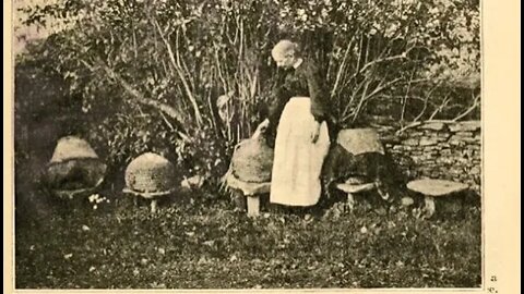 A look at skep beekeeping: "A Cotswold Cottage Bee Mistress" - The British Bee Journal 1915