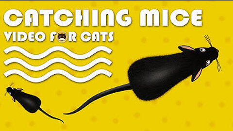 CAT GAMES - Catching Mice! Entertainment Video for Cats to Watch | CAT & DOG