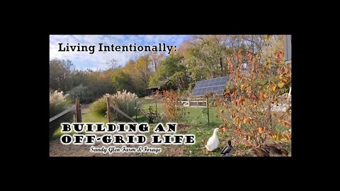 Living Intentionally: Building an Off-grid Life