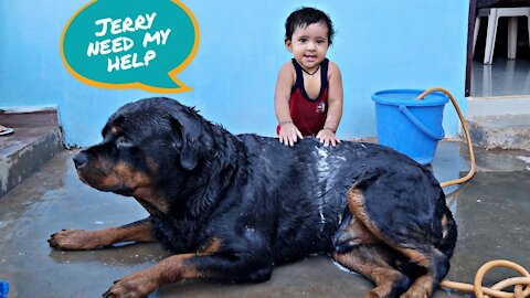 aaru help jerry to take bath|| newborn baby playing with dog|| funny dog video,