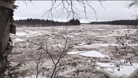 Outo sääilmiö: arktinen jääpeite virtaa kanadalaista jokea pitkin