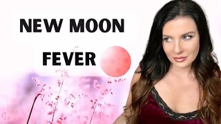 How To Harness New Moon Energy (11/23/2022) & Devine Feminine Energy