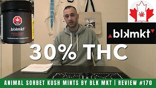 ANIMAL SORBET KUSH MINTS by Blk Mkt | Review #170