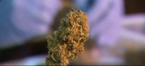 Las Vegas City Council approves drive-thru marijuana dispensary measure