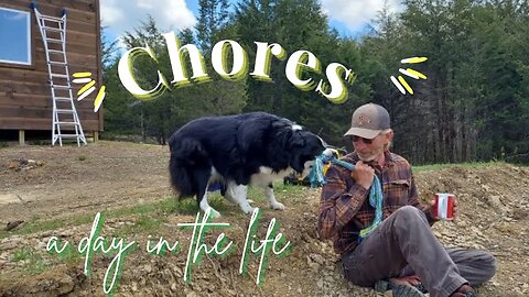 A Day on the Homestead: Embracing Chores and Sustainable Living