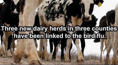 Three new dairy herds in three counties have been linked to the bird flu.