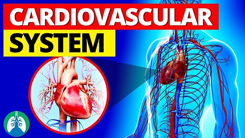 Cardiovascular System Structures [Quick Overview] ❤️