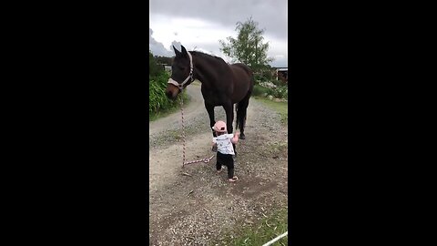 little....girl... leads.. horses