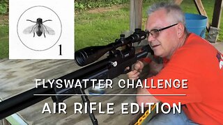 Flyswatter challenge air rifle edition