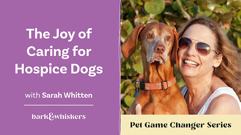 The Joy of Caring for Hospice Dogs With Sarah Whitten