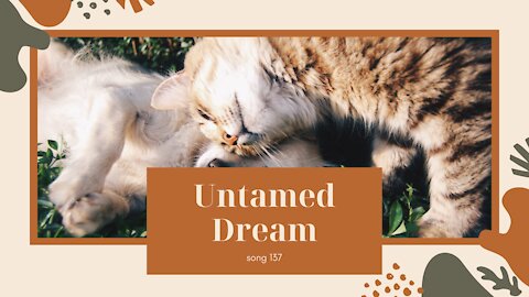 Untamed Dream (song137, piano, orchestra, music)