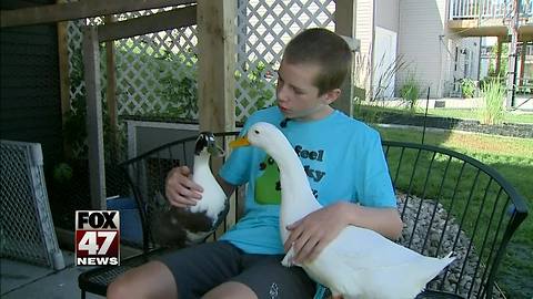 Michigan parents ordered to get rid of autistic son's ducks