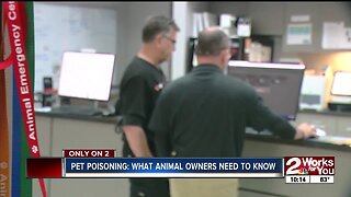 Pet poisoning: what animal owners need to know
