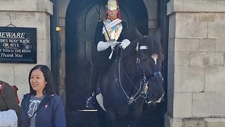 Another one did not read the sign #horseguardsparade