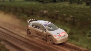 DiRT Rally 2 - RallyHOLiC 11 - New Zealand Event - Stage 3 Replay