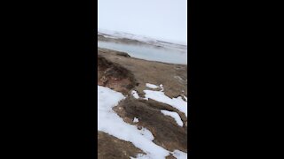 Hot springs in Iceland