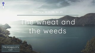 09/10/22 | The wheat and the weeds (Matthew 13:24-30, 34-43)