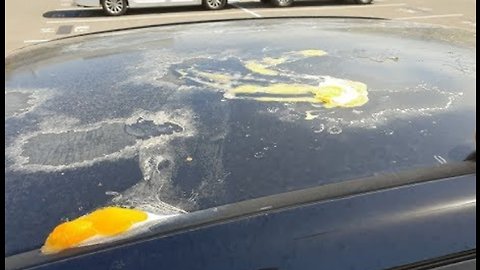 Frying Eggs On Car's Roof In 47 Degrees Celsius In Adelaide