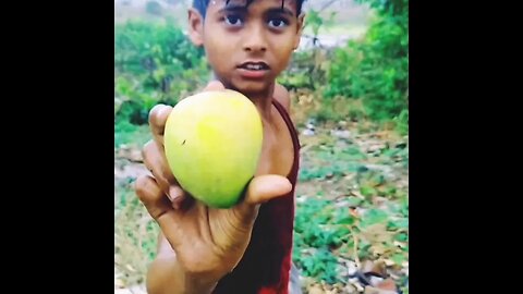 child ranibahal jharkhand mango pick up#youtubeshort#viralvideo#shorts