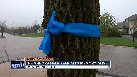 Menomonee Falls neighborhood gathers to celebrate birthday of girl who died from brain tumor