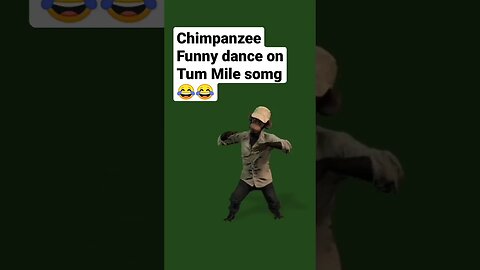 Chimpanzee Funny dance on hindi song😂😂#funny #funnyshorts #funnyvideo #funnymemes #monkey #dance