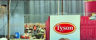 Tyson Foods announces temporary price reduction