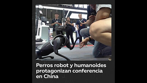 Perros robóticos presentes en la Conferencia Mundial de Robots en China
