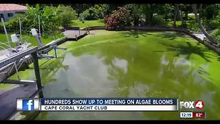 Water experts discuss green algae with concerned people