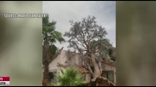 Winds down trees in Las Vegas