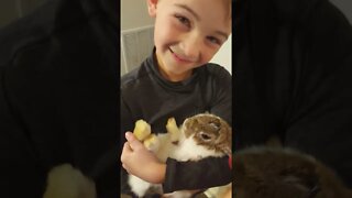 Micah & his Bunny