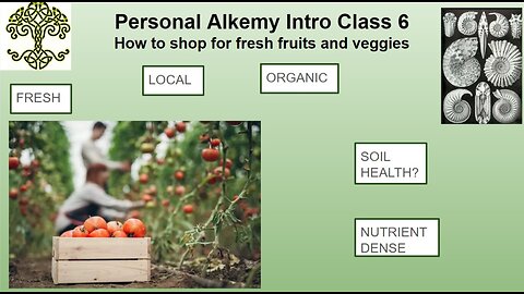 Personal Alkemy Intro to Health Class 6 of 10 Dec. 28 2023 - The Best Foods Why Where How