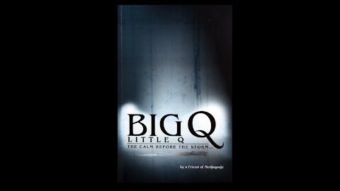 Big Q Little Q: The Calm Before the Storm, and the plan to save the world...