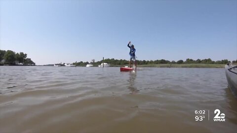 Paddle the bay for oysters