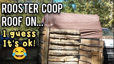 Rooster Coop Roof | I guess it's OK! - Ann's Tiny Life and Homestead