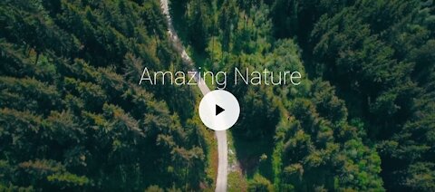 The Amazing Nature ***