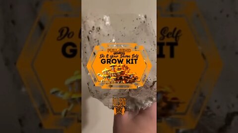 All in one mushroom kits that Never Growing! Do It Your Damn self Multipurpose super Grow kit!!
