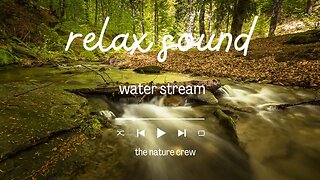 1 Hour Relaxing Music With Water Sounds Meditation