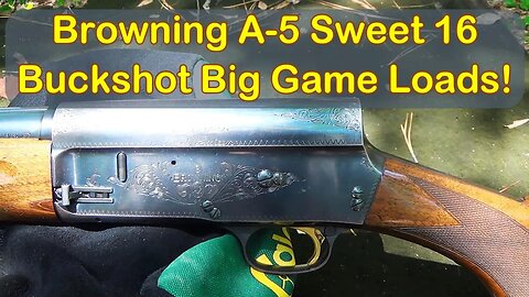 16 Gauge Buckshot Range Tests Part 1! Browning Sweet 16.