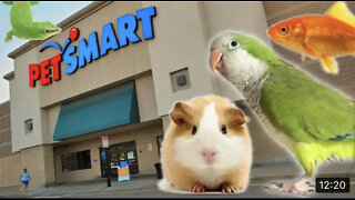 Exploring Petsmart!