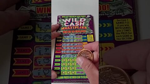 Winning Wild Cash Lottery Ticket Scratch Offs!