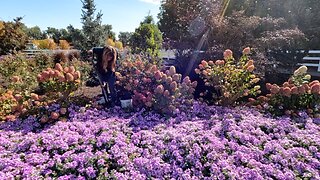 Is it Too Late in the Fall to Plant? Nope!!! 🙌😃🌿