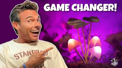 How Magic Mushrooms Changed My Life + Cash Cow Giveaway!!💰